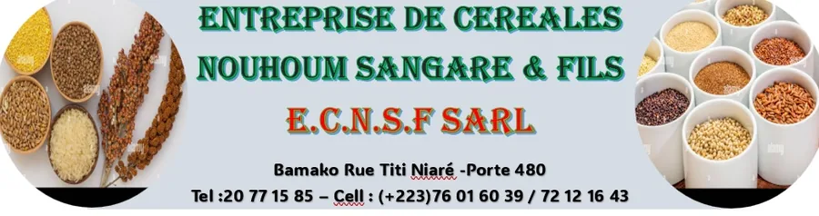 E.C.N.S.F SARL — Bannière